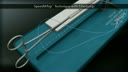 SpeedWhip™ Technique with FiberLoop™